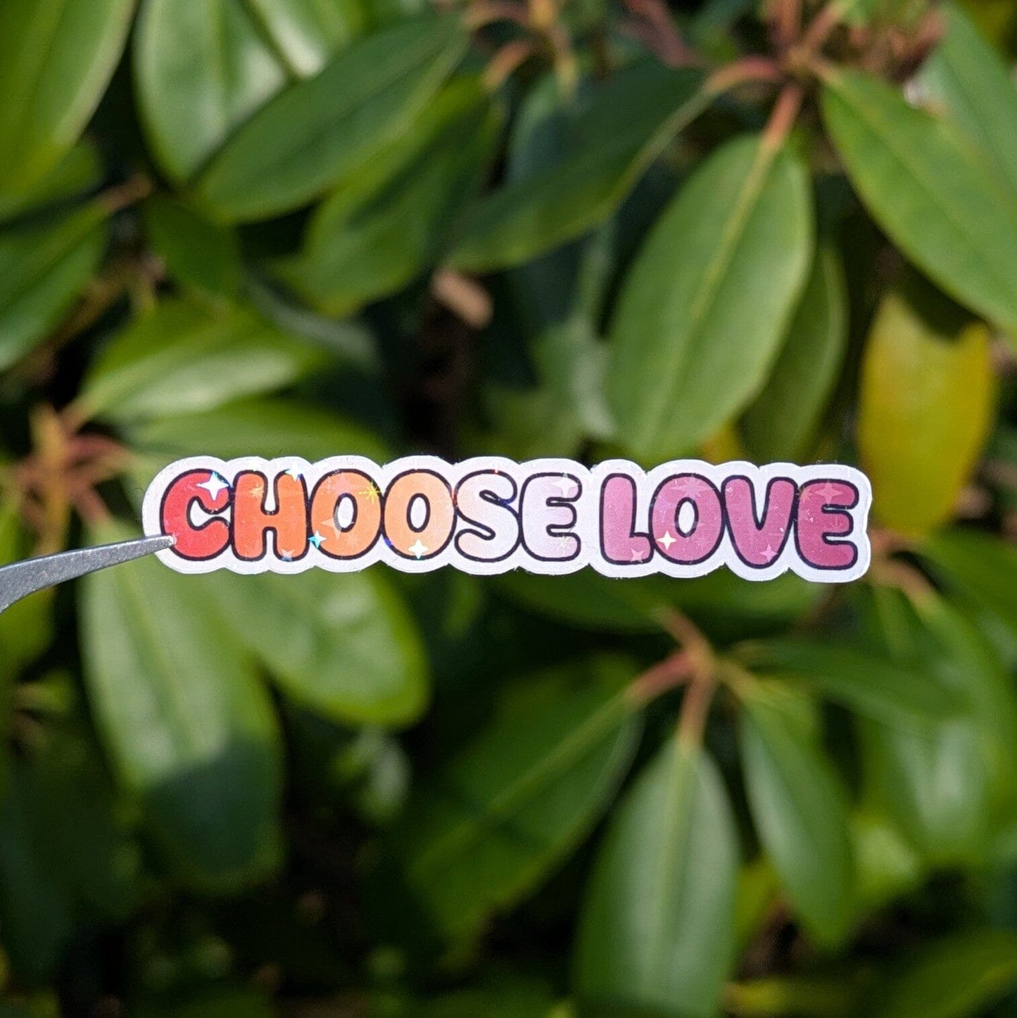 Holo Glitzer Vinyl Sticker - choose love - Lesbisch Sticker kindafcreations