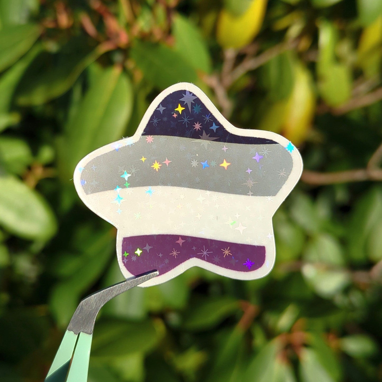Holo Glitzer Vinyl Sticker - Stern - Asexuell Flagge kindafcreations