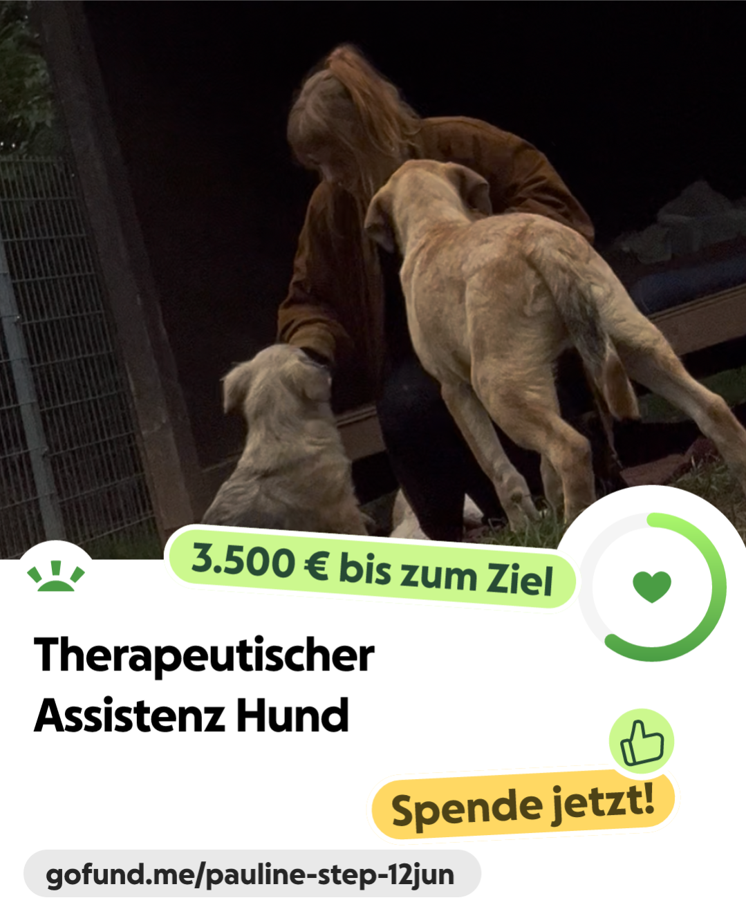 Spende für einen Assistenzhund & erhalte Sticker von deinem Haustier