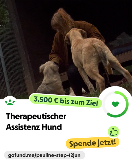 Spende für einen Assistenzhund & erhalte Sticker von deinem Haustier