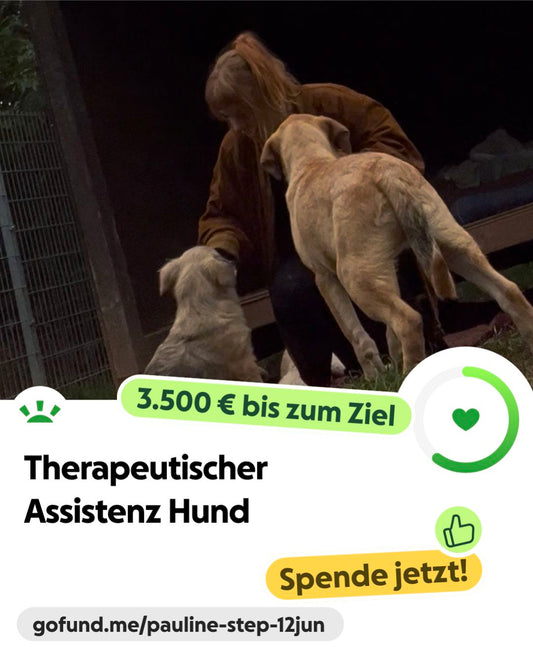 Spende für einen Assistenzhund & erhalte Sticker von deinem Haustier kindafcreations 